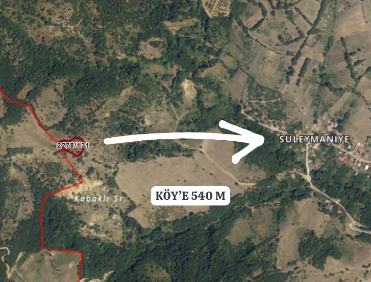 BURSA İZNİK SÜLEYMANİYE'DE 3.002  M² TARLAMIZ SATILIKTIR - BURSA İZNİK fotoğraf 4